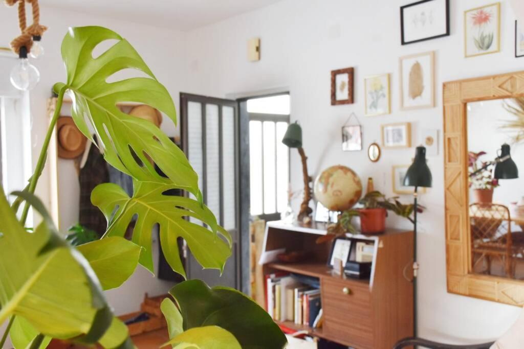 Appartement Bamboo House Aljezur Extérieur photo