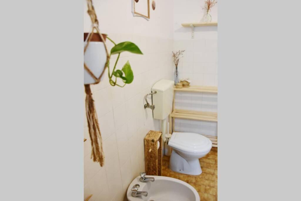 Appartement Bamboo House Aljezur Extérieur photo