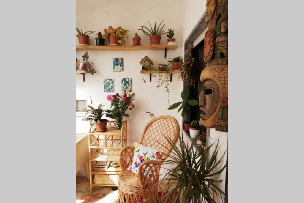 Appartement Bamboo House Aljezur Extérieur photo